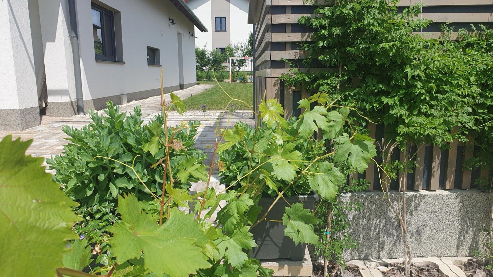 Relax Balaton Apartmanok Balatonfured Exterior photo